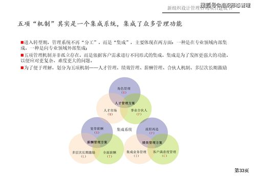 新组织设计管理咨询项目策划与公关服务建议书