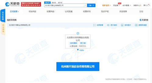 项目策划与公关服务的完美融合 策略解析与应用指南